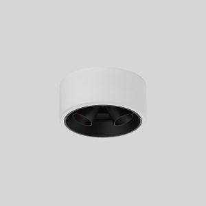 Semi recessed dual head wall washer spotlight, great for highlighting feature walls, artwork, and modern living spaces